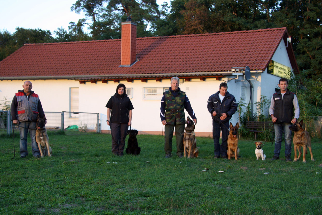 IGP - Schutzhunde